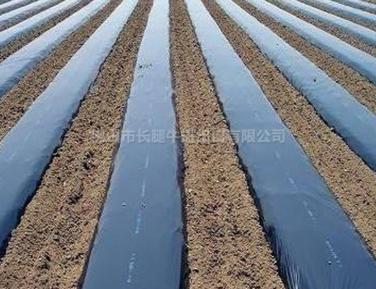 西安定制农用塑料膜批发